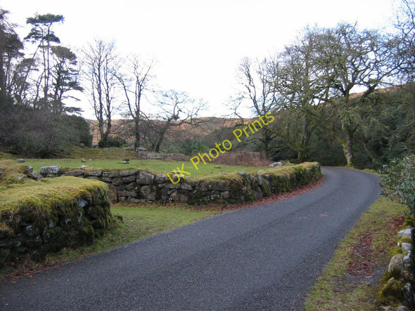 Photo 6"x4" The remains of Brent Moor House Didworthy c2010