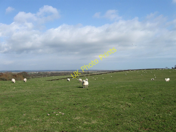 Photo 6"x4" Wood Plot Mill Hill\/TQ6205 c2010