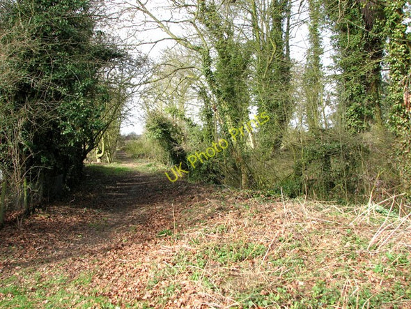 Photo 6"x4" Path to Frenze Hall Scole Common c2010