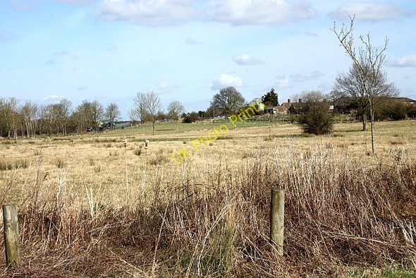Photo 6"x4" Marsh Common Woodmancote\/SO9042 c2010