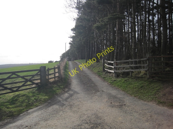 Photo 6"x4" Drive leading to Dipton Cottage Beauclerc c2010