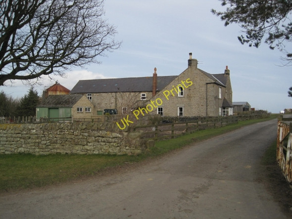 Photo 6"x4" Prospect Hill Farm Beauclerc c2010
