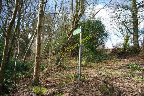 Photo 6"x4" Footpath signed off Roger's Rough Rd Bedgebury Cross c2010