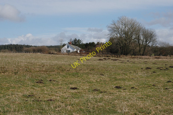 Photo 6"x4" Field by Tai-hirion Trawsnant\/SN5666 c2010