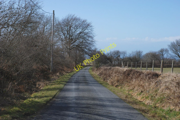 Photo 6"x4" Minor road by Talwrnllyn Trawsnant\/SN5666 c2010
