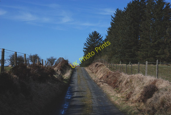 Photo 6"x4" Bridleway heading north Bethania\/SN5763 c2010