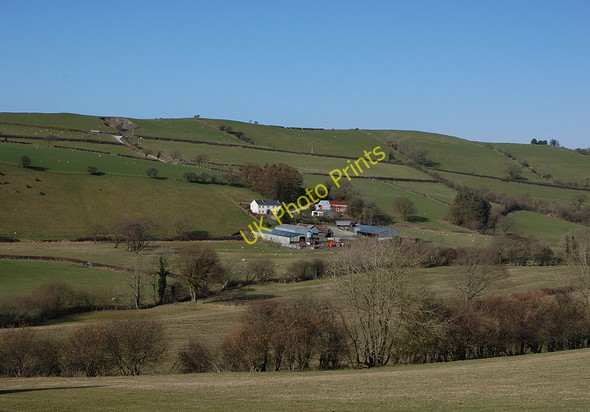 Photo 6"x4" Fields around Abernac farm Rhos-y-garth c2010