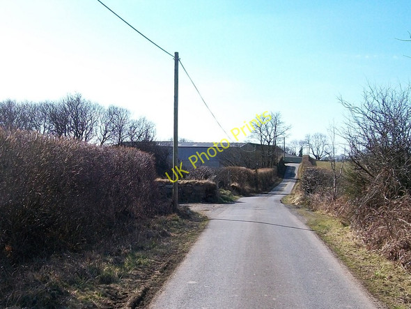 Photo 6"x4" Approaching Tyddyn-y-felin Farm from the north Llecheiddior\/SH4743 c2008