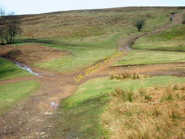 Photo 6"x4" Tracks crossing on the Quantock ridgeway Crowcombe c2010
