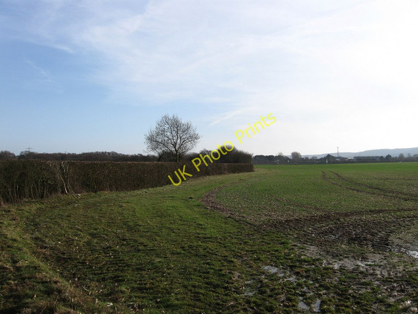 Photo 6"x4" Five Acres Dittons c2010