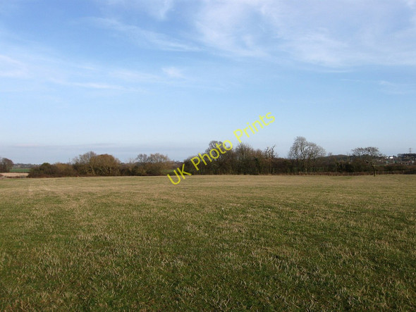 Photo 6"x4" Little Field Dittons c2010