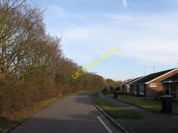 Photo 6"x4" Shepham Lane Dittons c2010