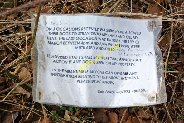 Photo 6"x4" Please keep your dog under control! Tandridge c2010