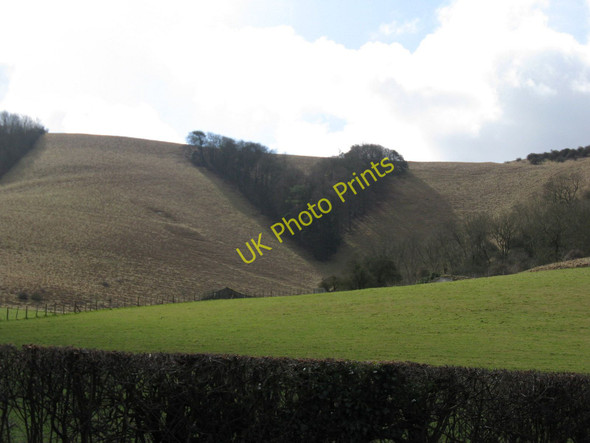 Photo 6"x4" View south to Queen Victoria's Jubilee plantation Westmeston c2010