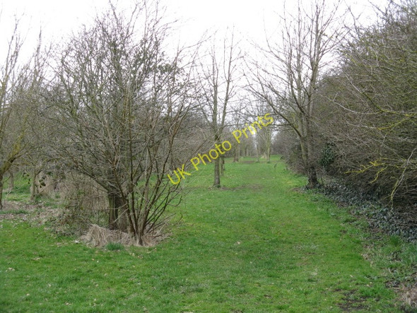 Photo 6"x4" Footpath Through The Trees Droitwich c2010