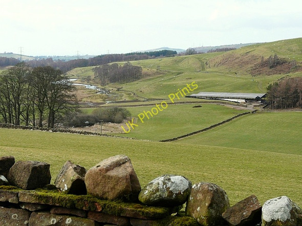 Photo 6"x4" Fields at Scratchmere Scar Plumpton\/NY4937 c2010