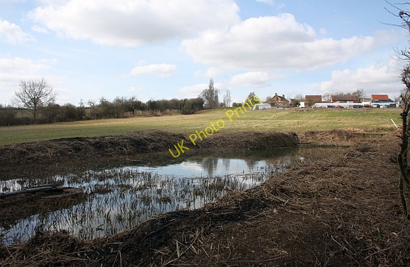 Photo 6"x4" Reed beds Woodmancote\/SO9042 c2010