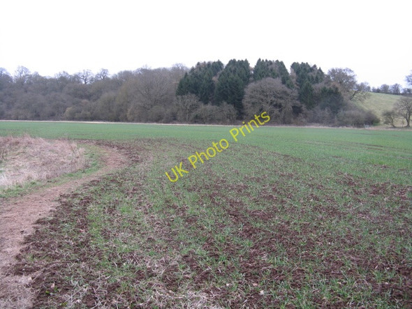Photo 6"x4" Fields By Elmbridge Brook Droitwich c2010