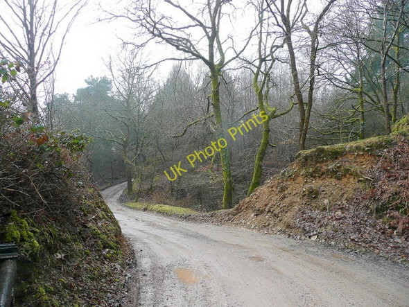 Photo 6"x4" Track to a quarry Ellwood c2010