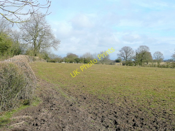 Photo 6"x4" Pastoral Warwickshire Claverdon c2010