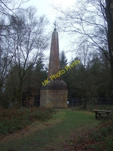 Photo 6"x4" The Obelisk, above Mamhead Ashcombe\/SX9179 c2010