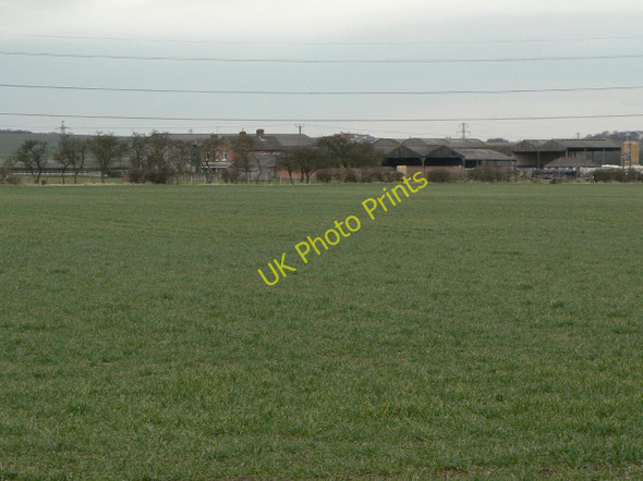 Photo 6"x4" Glebe Farm Gotham\/SK5330 c2010