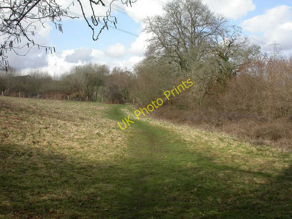 Photo 6"x4" Pamphill, permissive footpath Wimborne Minster c2010