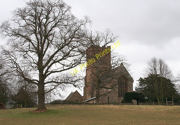 Photo 6"x4" Much Marcle Church Much Marcle c2008