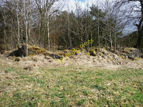 Photo 6"x4" Ruined Cottage by Brackenhirst Road Riggend c2010