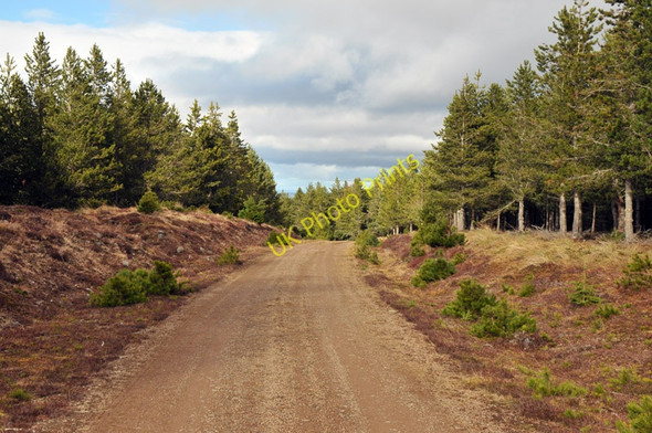 Photo 6"x4" Forestry road in Blairmore Estate Ardendrain c2010