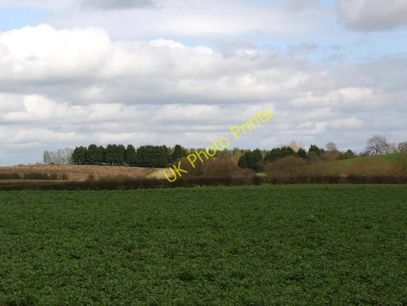 Photo 6"x4" Hookend Coppice from A3400 Alderminster c2010