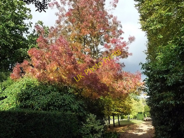 Photo 6"x4" The Vyne, Sherborne St John Cufaude c2009