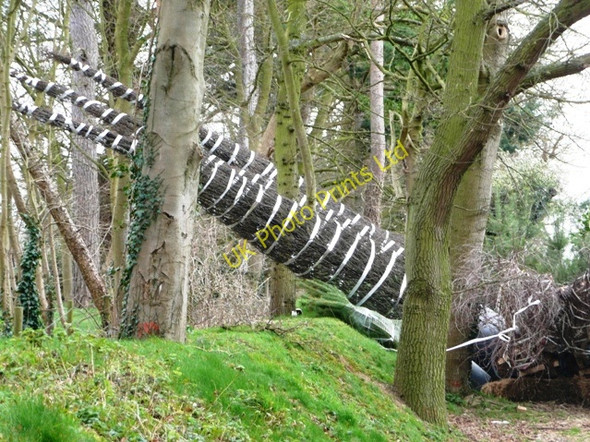 Photo 6"x4" What are they? Henley-on-Thames c2008