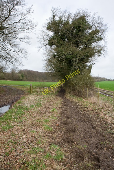 Photo 6"x4" Bridleway from Dundridge Lane Dundridge\/SU5718 c2010