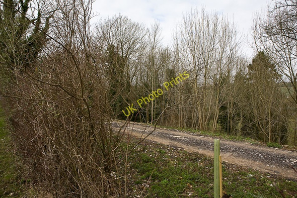 Photo 6"x4" Track in The Hangers woodland Dean\/SU5619 c2010