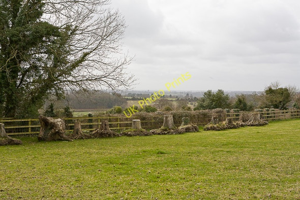 Photo 6"x4" Field and stumps Dean\/SU5619 c2010