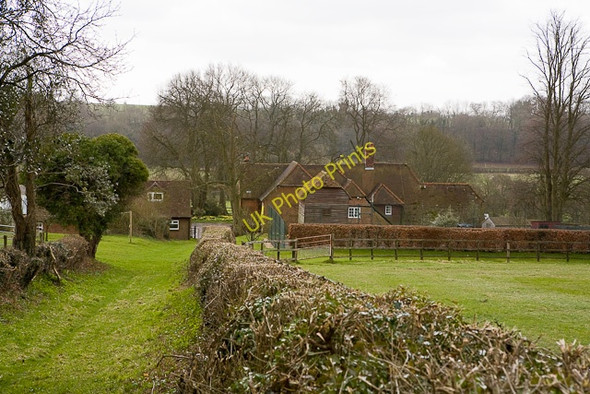 Photo 6"x4" Bishopsdown Stud Farm Dean\/SU5619 c2010