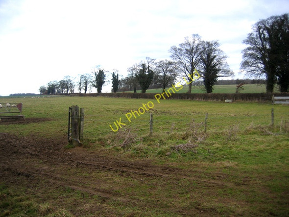Photo 6"x4" Sutton Heath, Peterborough Upton\/TF1000 c2005