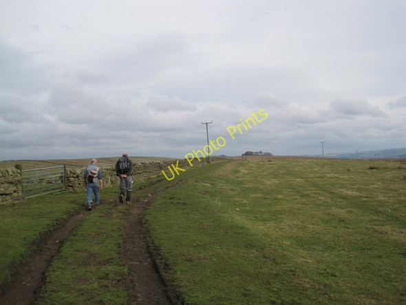 Photo 6"x4" Byway towards Cranberry Brow Melkridge c2010