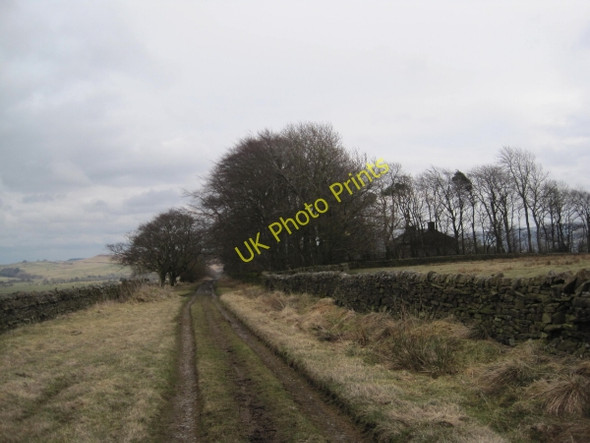 Photo 6"x4" Byway near Cranberry Brow Melkridge c2010
