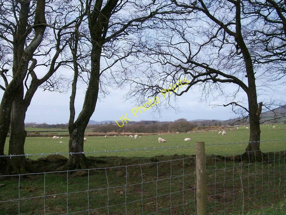 Photo 6"x4" Sheep pastures at Orsedd Fawr Farm Pencaenewydd\/SH4040 c2010