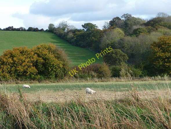 Photo 6"x4" Fields beside the Thames Swinford\/SP4408 c2009