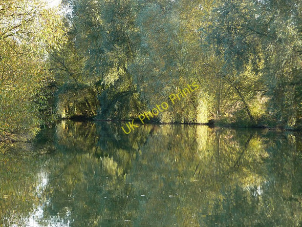 Photo 6"x4" River Thames looking downstream Wolvercote c2009