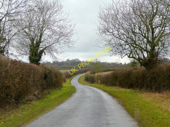 Photo 6"x4" Privet Lane Fyfield\/SU2946 c2010
