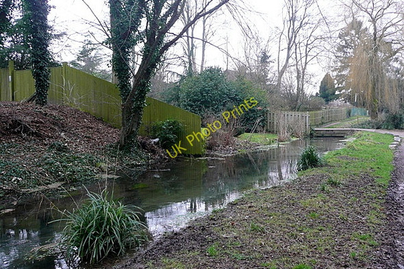 Photo 6"x4" St Swithun's Way looking north Winchester c2010
