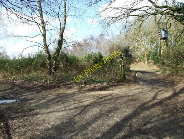 Photo 6"x4" Sign post to Great Barrow, Ferndown Common Longham\/SZ0698 c2010