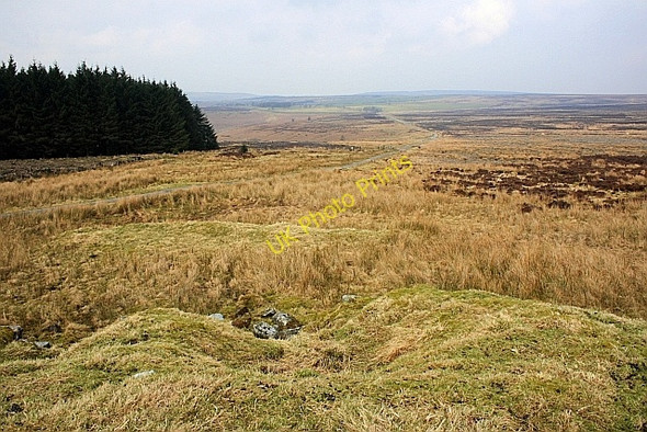 Photo 6"x4" Earth Platform, Thimbleby Moor Osmotherley c2010