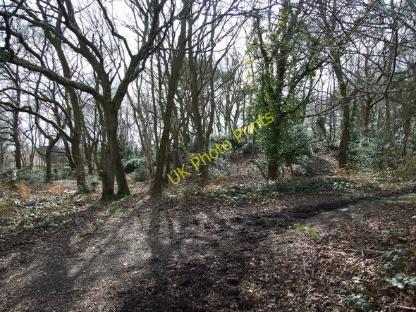 Photo 6"x4" Tumulus, Ferndown Common Longham\/SZ0698 c2010