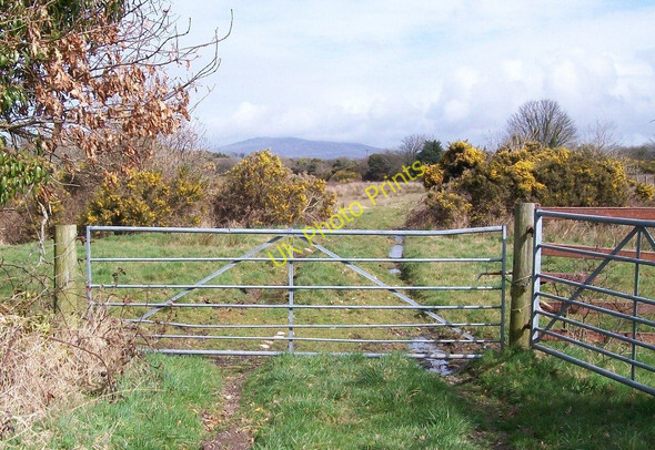 Photo 6"x4" Footpath leading to Cae-du from the Ynysleci road Llanarmon c2010