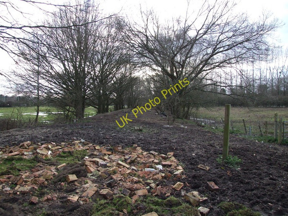 Photo 6"x4" Line of Castleman Railway, Stapehill Little Canford c2010